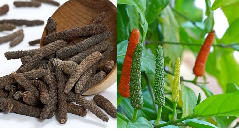 How does Long Pepper look like