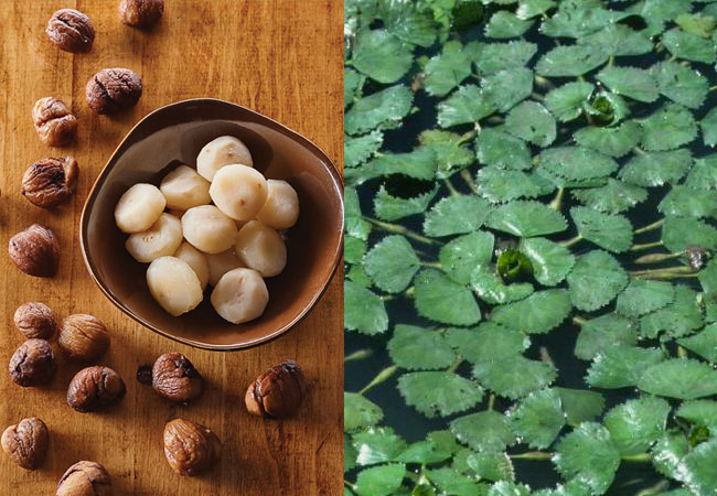 How does Water Chestnuts look like
