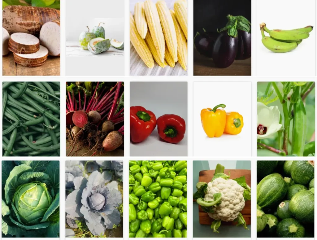 organic vegetables in India - image grid