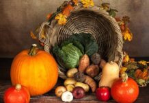 List of Organic Vegetables Price in Delhi from Organic Food Suppliers organic vegetables price in delhi